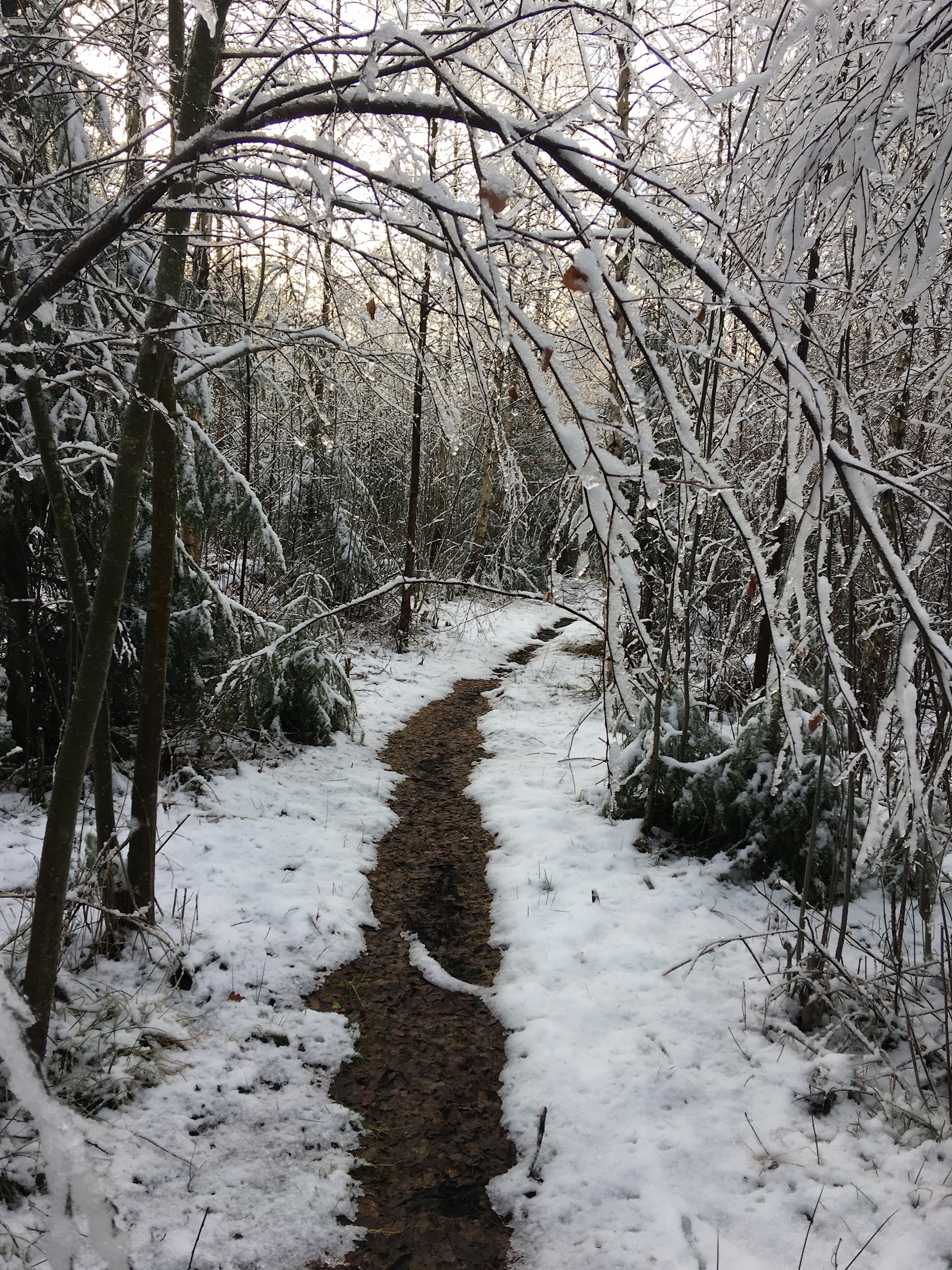 God jul og godt nytt år